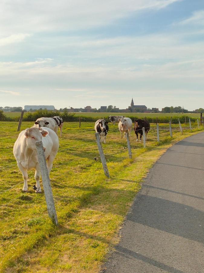 Gastenverblijf Hof Moye Tyt Middelkerke Buitenkant foto