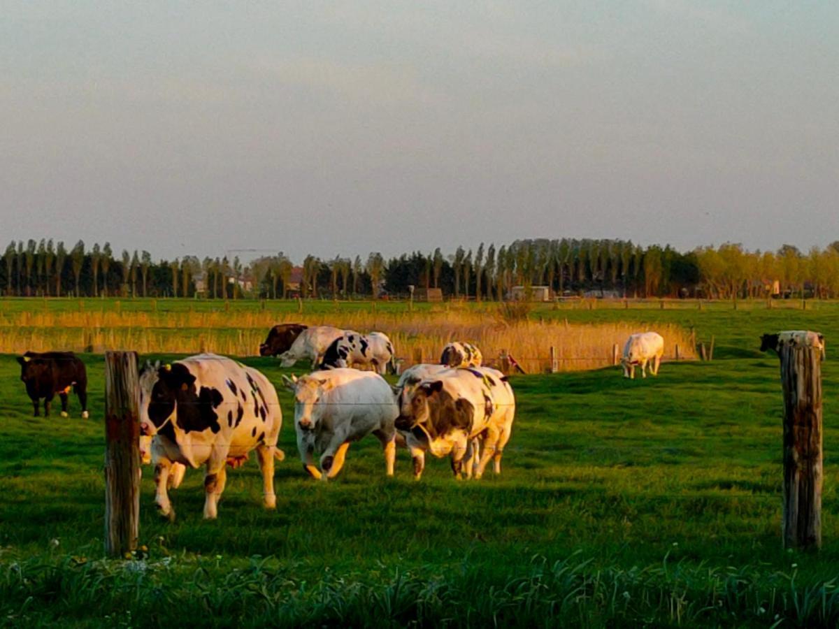Gastenverblijf Hof Moye Tyt Middelkerke Buitenkant foto