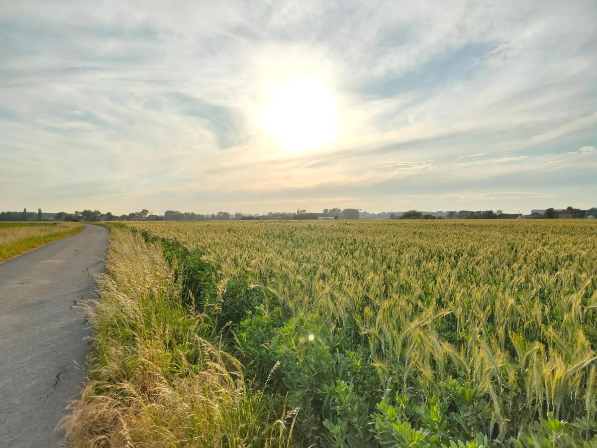 Gastenverblijf Hof Moye Tyt Middelkerke Buitenkant foto